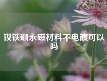 钕铁硼永磁材料不电镀可以吗