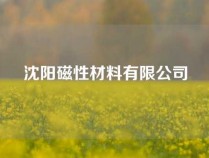 沈阳磁性材料有限公司