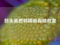 包头英思特稀磁有啥危害