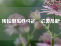 钕铁硼磁铁性能一览表最新