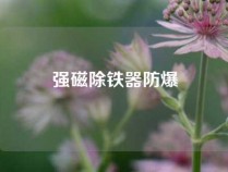 强磁除铁器防爆