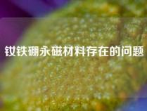 钕铁硼永磁材料存在的问题