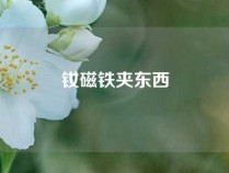 钕磁铁夹东西