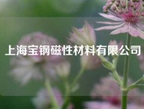 上海宝钢磁性材料有限公司