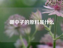 硼中子的原料是什么