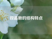 钕晶胞的结构特点