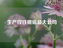 生产钕铁硼磁最大公司