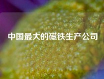 中国最大的磁铁生产公司