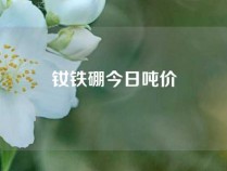 钕铁硼今日吨价