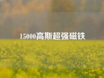 15000高斯超强磁铁