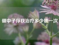 硼中子俘获治疗多少钱一次