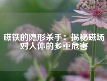 磁铁的隐形杀手：揭秘磁场对人体的多重危害