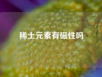 稀土元素有磁性吗