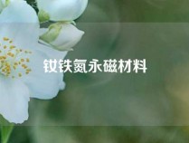 钕铁氮永磁材料