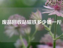 废品回收站磁铁多少钱一斤