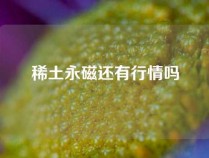 稀土永磁还有行情吗