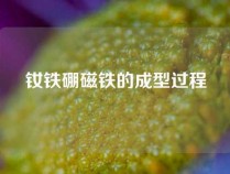 钕铁硼磁铁的成型过程