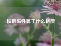 铁带磁性属于什么材质