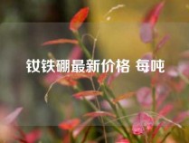 钕铁硼最新价格 每吨