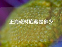 正海磁材底薪是多少