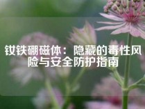 钕铁硼磁体：隐藏的毒性风险与安全防护指南