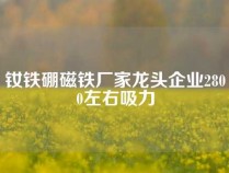 钕铁硼磁铁厂家龙头企业2800左右吸力