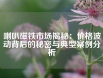 喇叭磁铁市场揭秘：价格波动背后的秘密与典型案例分析