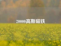 20000高斯磁铁