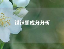 钕铁硼成分分析