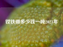 钕铁硼多少钱一吨2023年