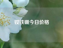 钕铁硼今日价格