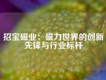 招宝磁业：磁力世界的创新先锋与行业标杆