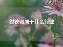 钕铁硼属于什么行业