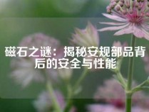 磁石之谜：揭秘安规部品背后的安全与性能