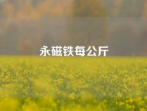 永磁铁每公斤