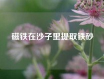 磁铁在沙子里提取铁砂