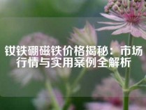 钕铁硼磁铁价格揭秘：市场行情与实用案例全解析