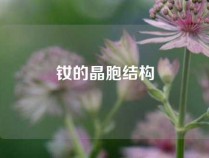 钕的晶胞结构