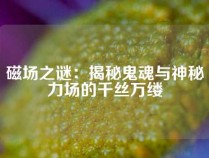 磁场之谜：揭秘鬼魂与神秘力场的千丝万缕