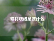 磁材烧结是做什么