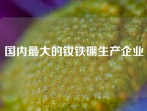 国内最大的钕铁硼生产企业