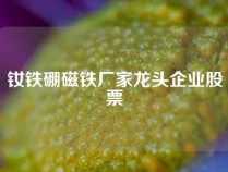 钕铁硼磁铁厂家龙头企业股票