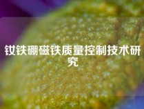 钕铁硼磁铁质量控制技术研究