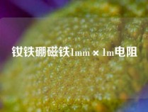 钕铁硼磁铁1mm×1m电阻