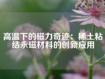 高温下的磁力奇迹：稀土粘结永磁材料的创新应用