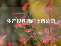 生产钕铁硼的上市公司