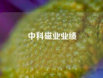 中科磁业业绩