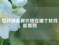 钕铁硼最新价格在哪个软件能看到