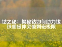 钴之秘：揭秘钴如何助力钕铁硼磁体突破剩磁极限