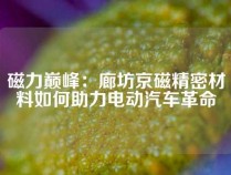 磁力巅峰：廊坊京磁精密材料如何助力电动汽车革命